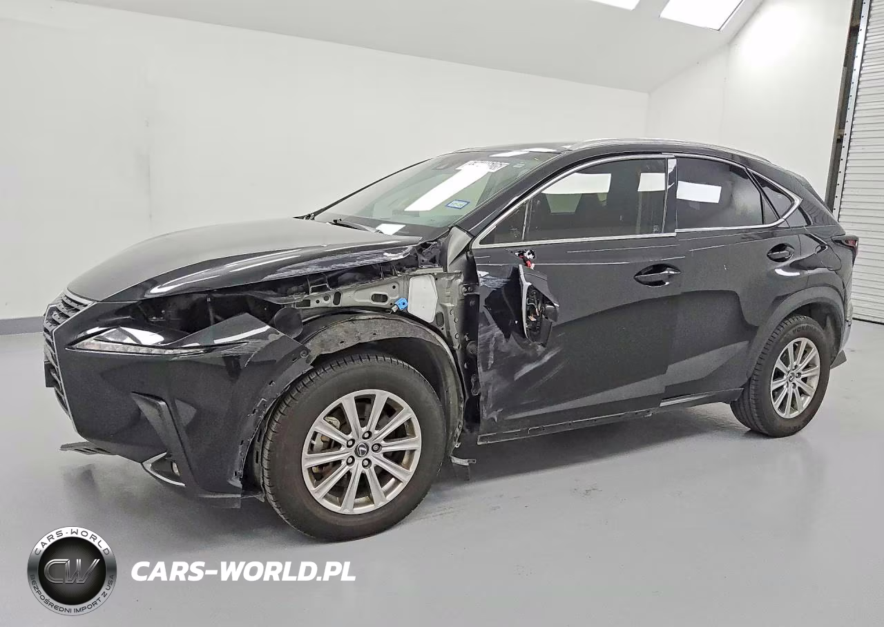 2020 Lexus Nx 300 VIN:JTJDARBZ8L2171812 - 1