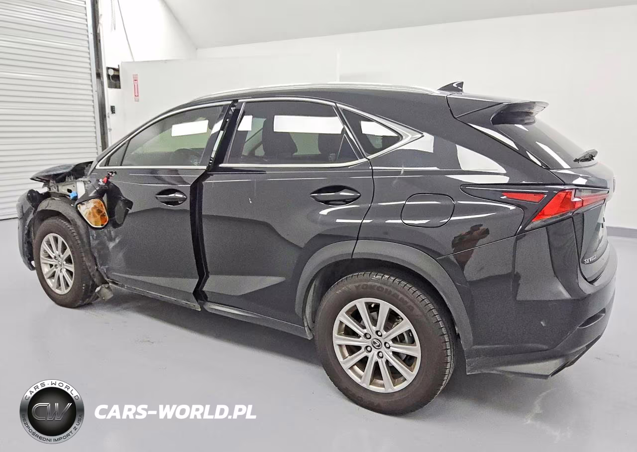 2020 Lexus Nx 300 VIN:JTJDARBZ8L2171812 - 2