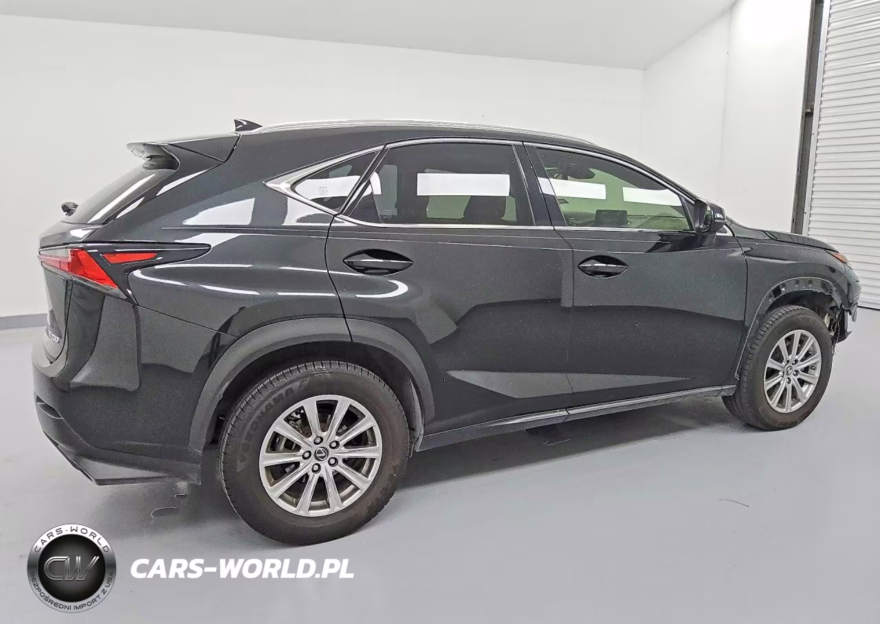 2020 Lexus Nx 300 VIN:JTJDARBZ8L2171812 - 3