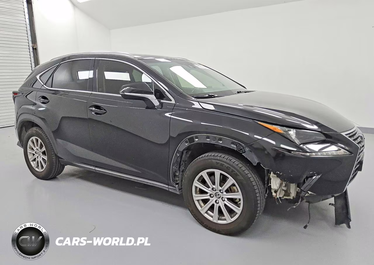 2020 Lexus Nx 300 VIN:JTJDARBZ8L2171812 - 4