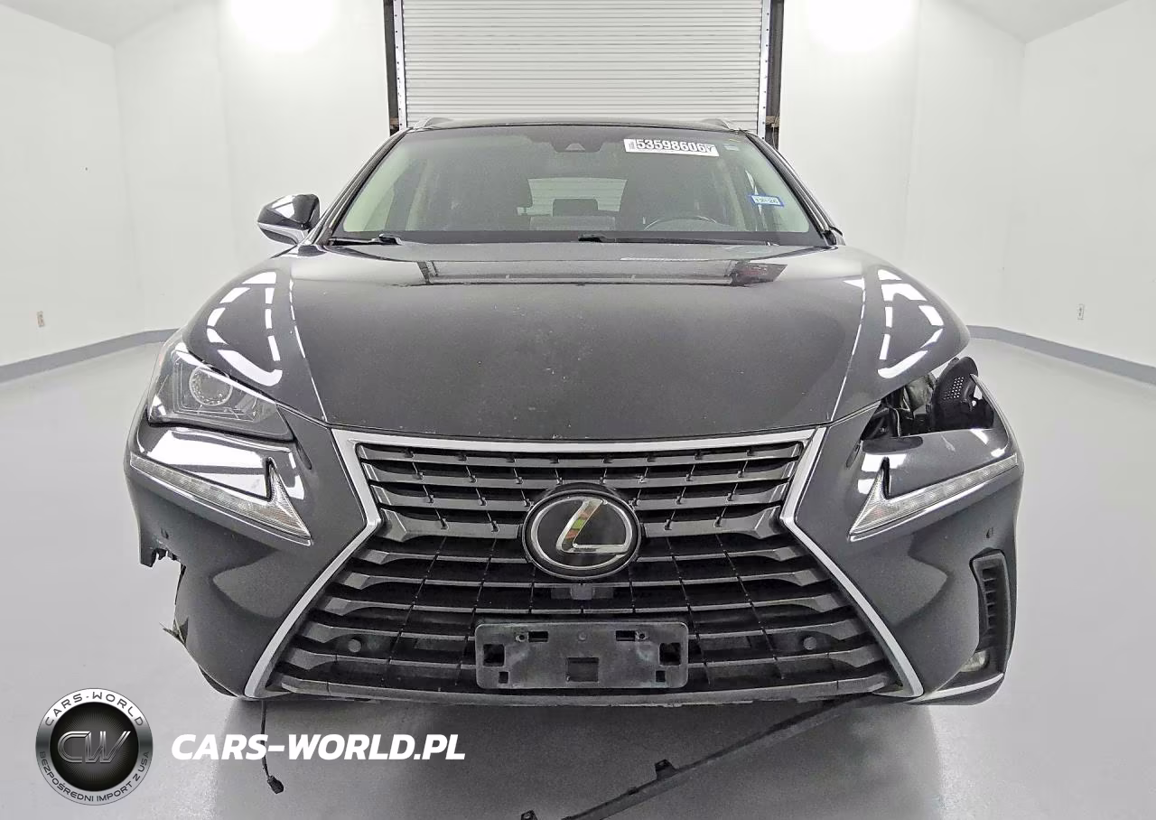 2020 Lexus Nx 300 VIN:JTJDARBZ8L2171812 - 5