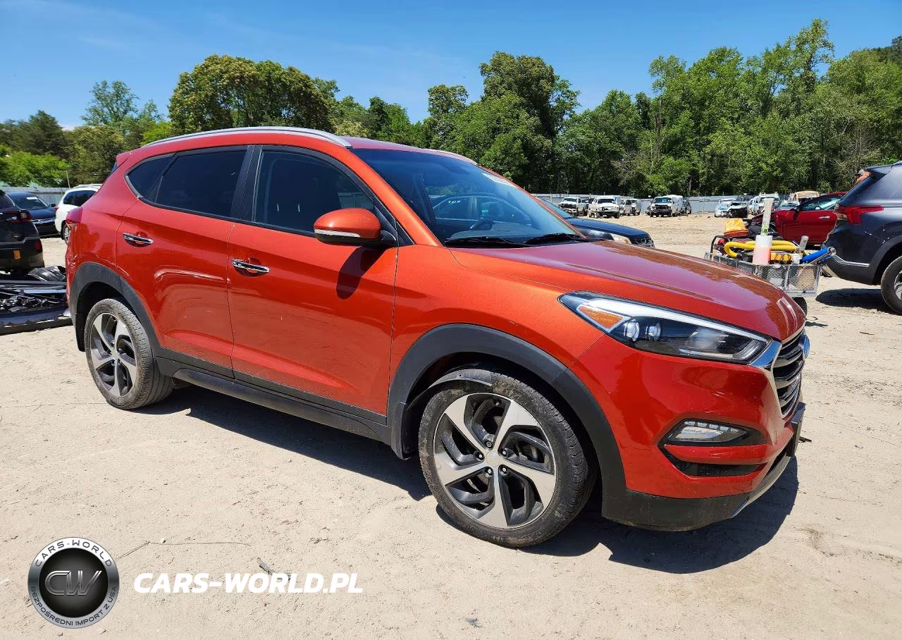 2016 Hyundai Tuscon VIN:KM8J33A26GU141540 - 4