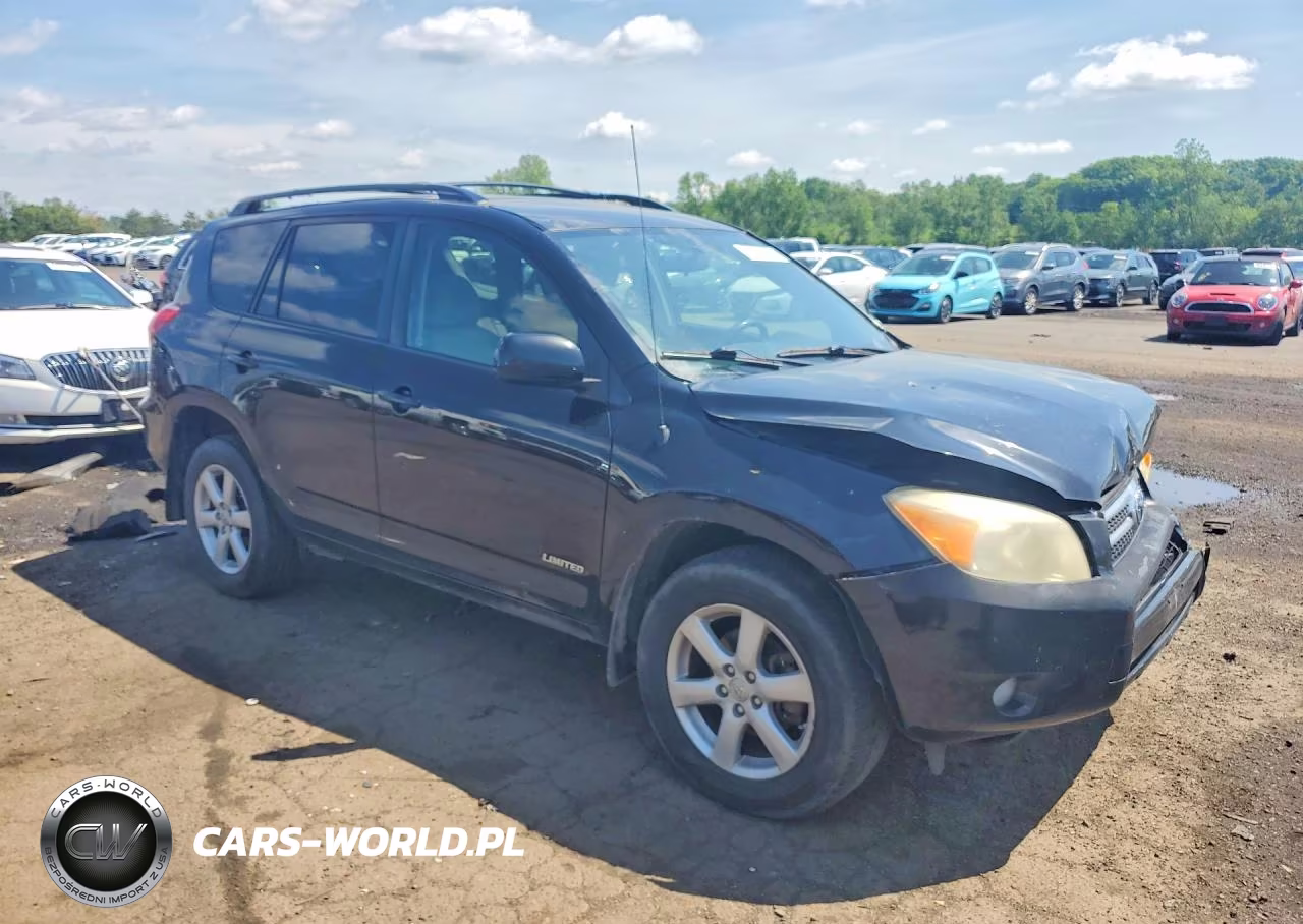 2006 Toyota Rav4 Limited VIN:JTMBK31V565006029 - 4
