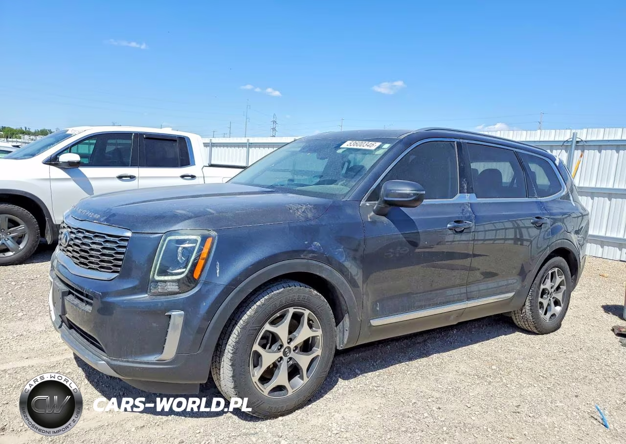 2020 Kia Telluride Ex VIN:5XYP3DHC8LG010642 - 1
