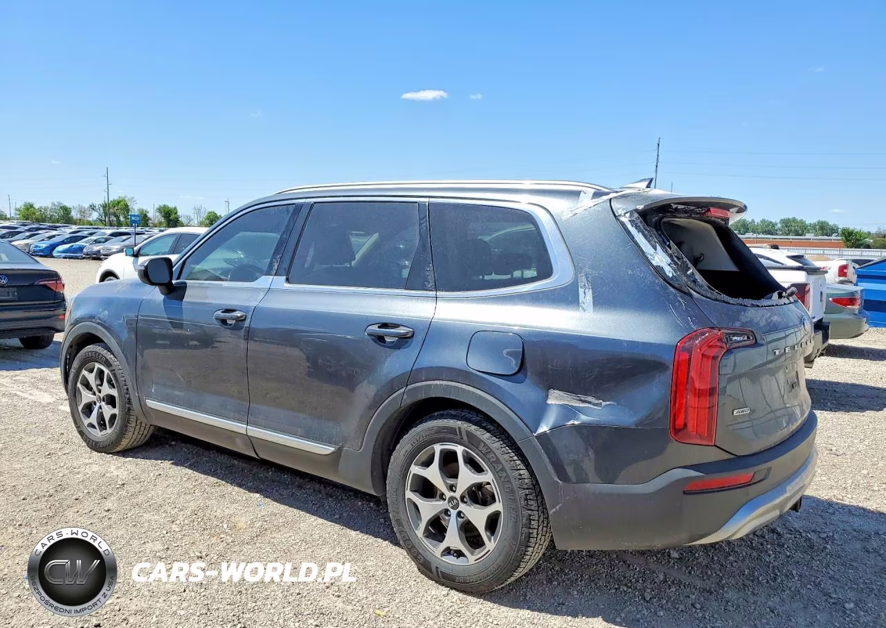 2020 Kia Telluride Ex VIN:5XYP3DHC8LG010642 - 2