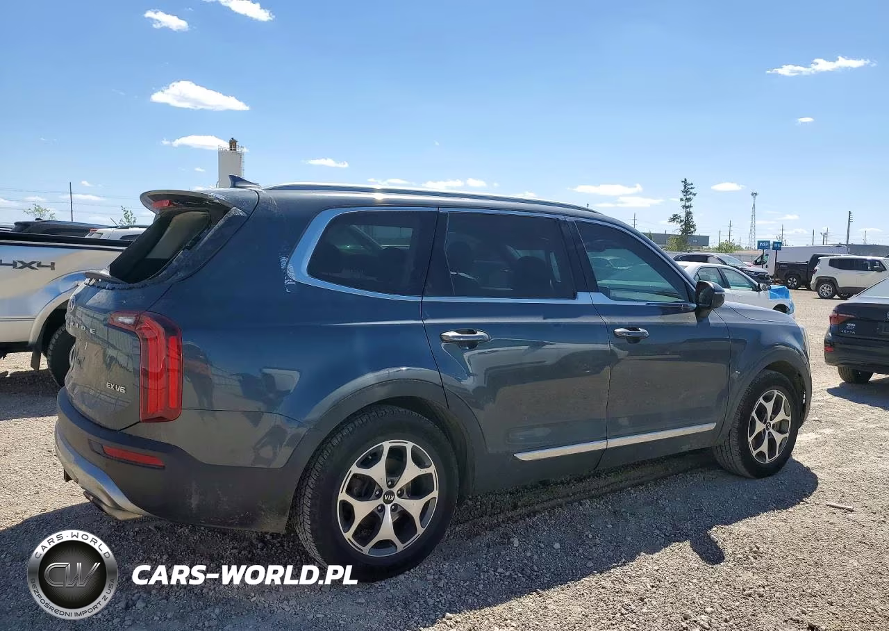 2020 Kia Telluride Ex VIN:5XYP3DHC8LG010642 - 3