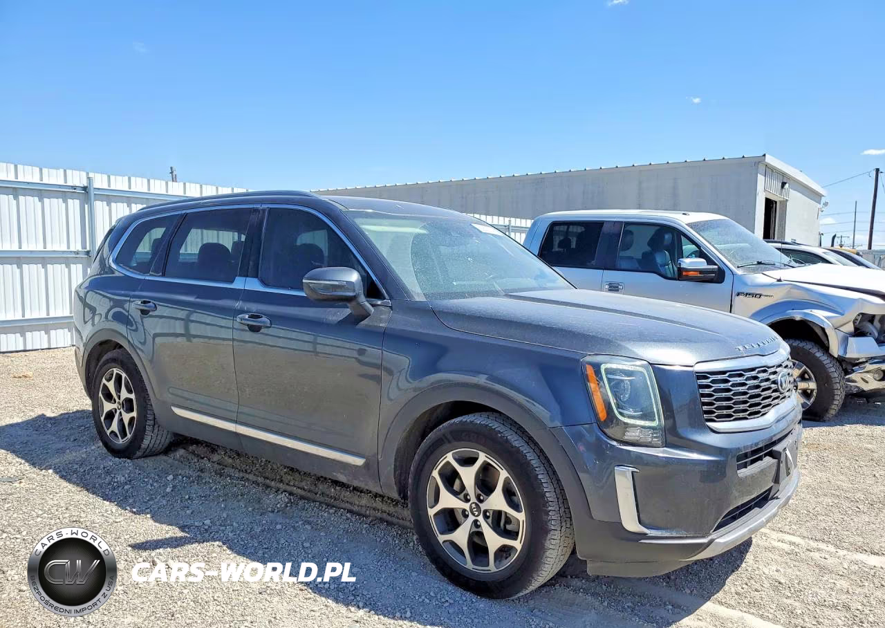 2020 Kia Telluride Ex VIN:5XYP3DHC8LG010642 - 4