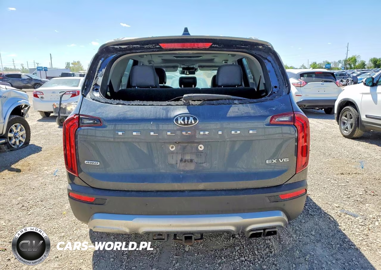 2020 Kia Telluride Ex VIN:5XYP3DHC8LG010642 - 6