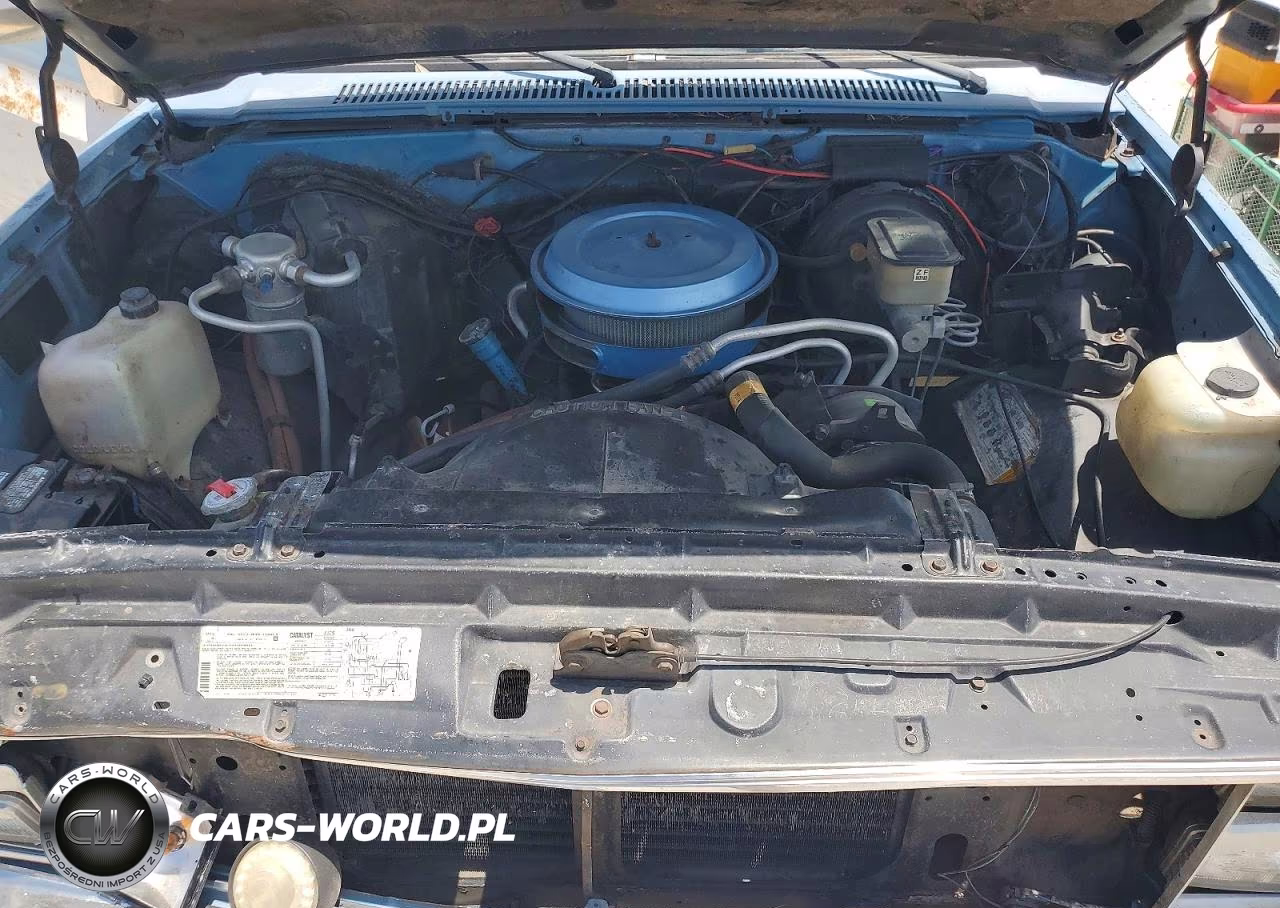 1985 Chevrolet C10 VIN:2GCDC14H1F1210196 - 11