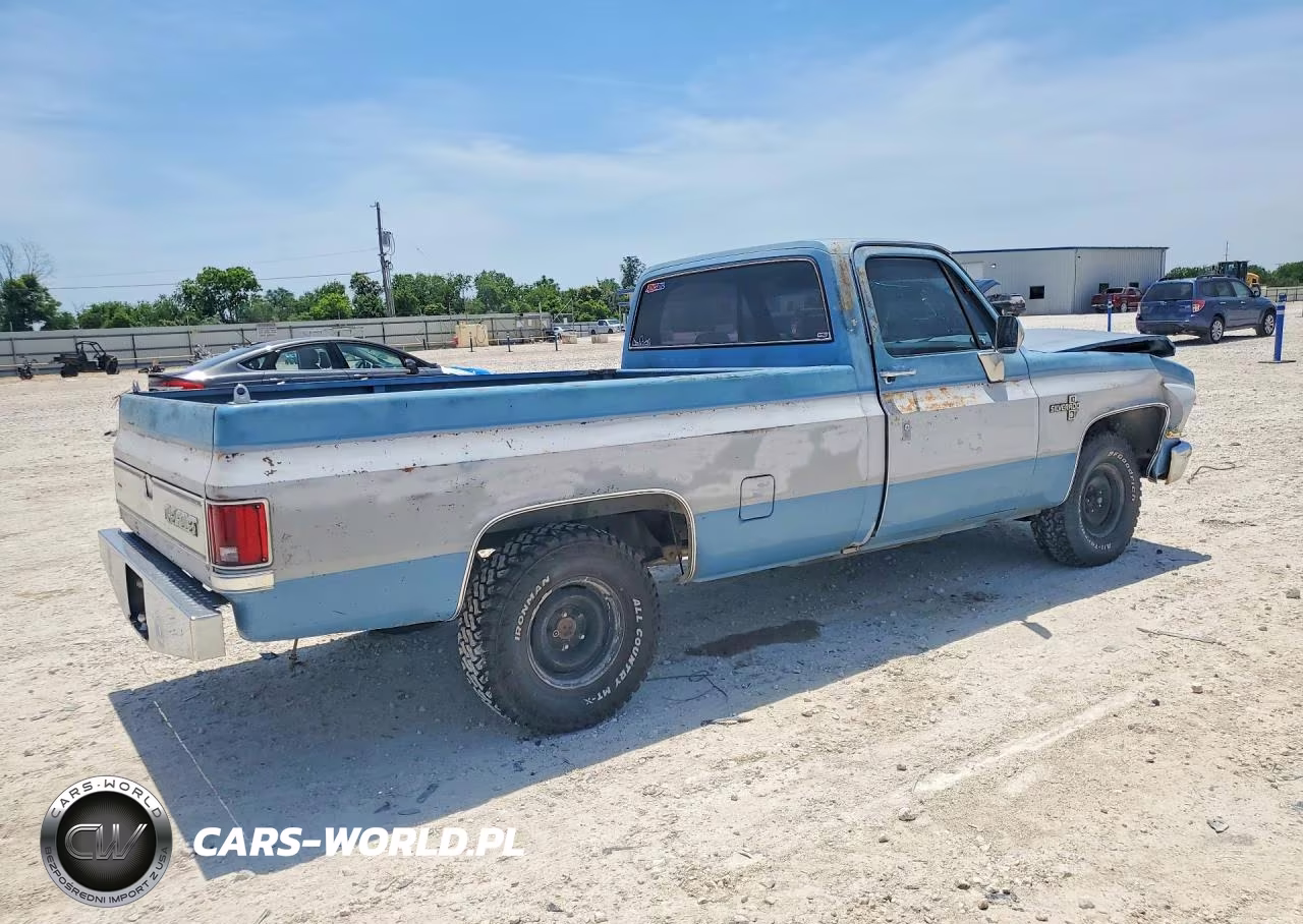 1985 Chevrolet C10 VIN:2GCDC14H1F1210196 - 3
