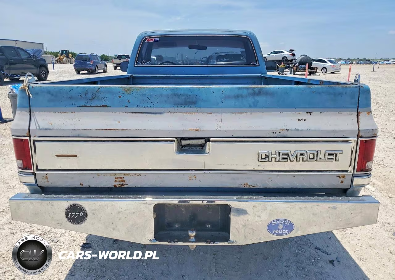 1985 Chevrolet C10 VIN:2GCDC14H1F1210196 - 6