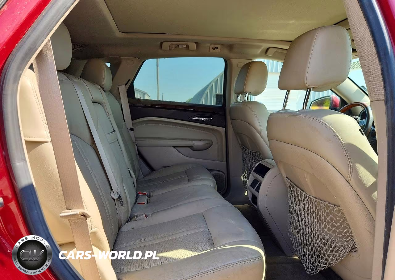 2010 Cadillac Srx Luxury Collection VIN:3GYFNDEY8AS608578 - 10