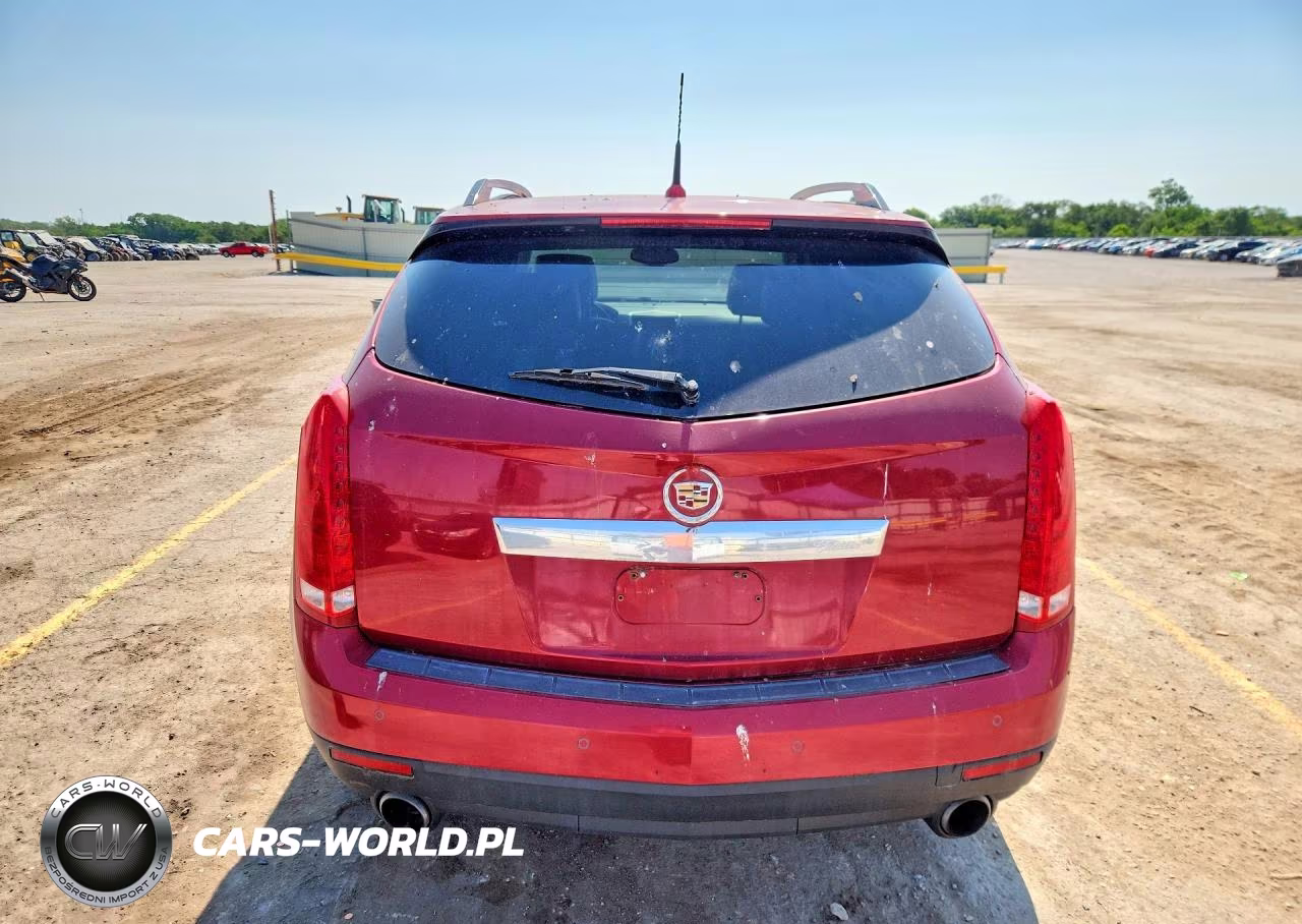 2010 Cadillac Srx Luxury Collection VIN:3GYFNDEY8AS608578 - 6
