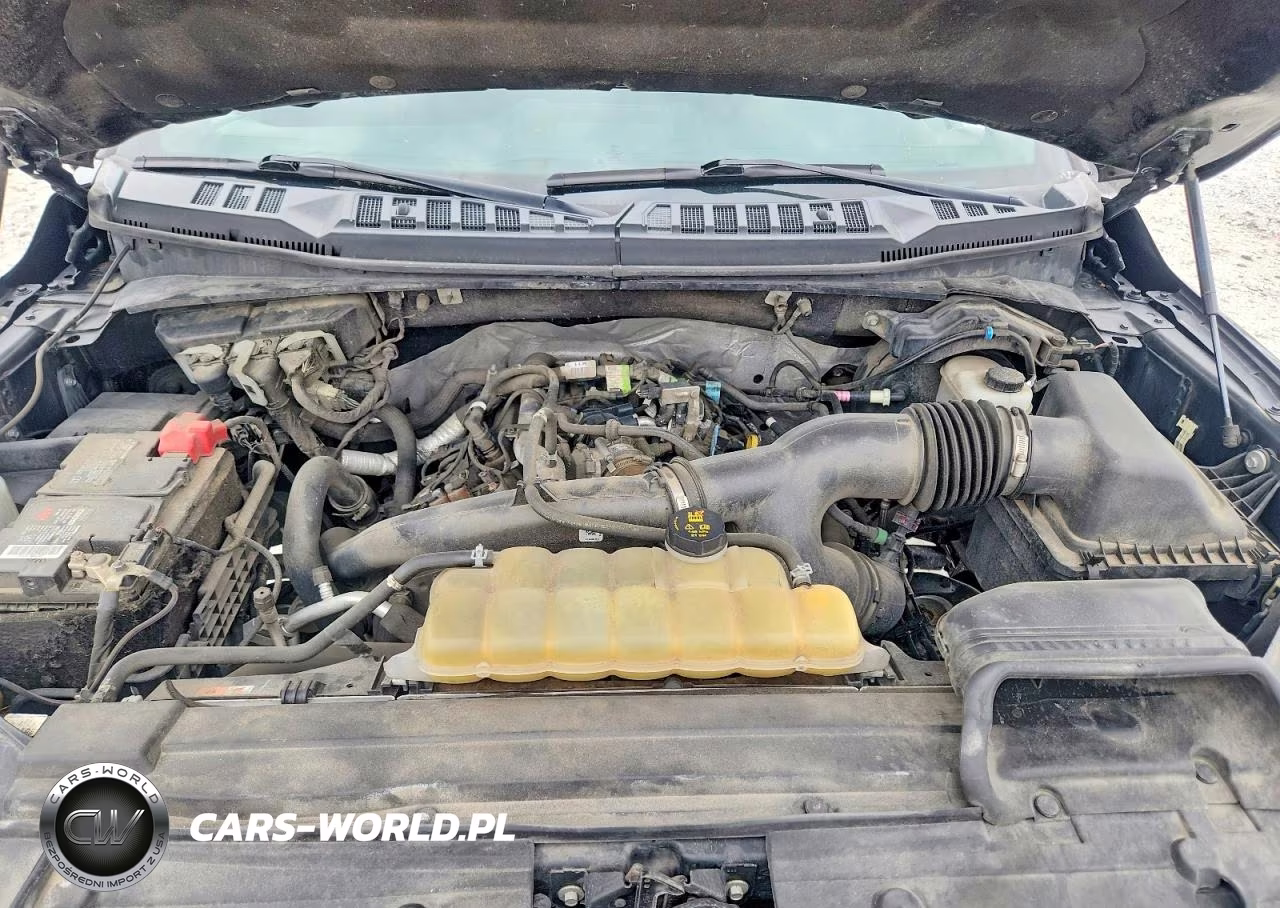 2019 Ford F150 Supercrew VIN:1FTEW1EP4KFD32166 - 11