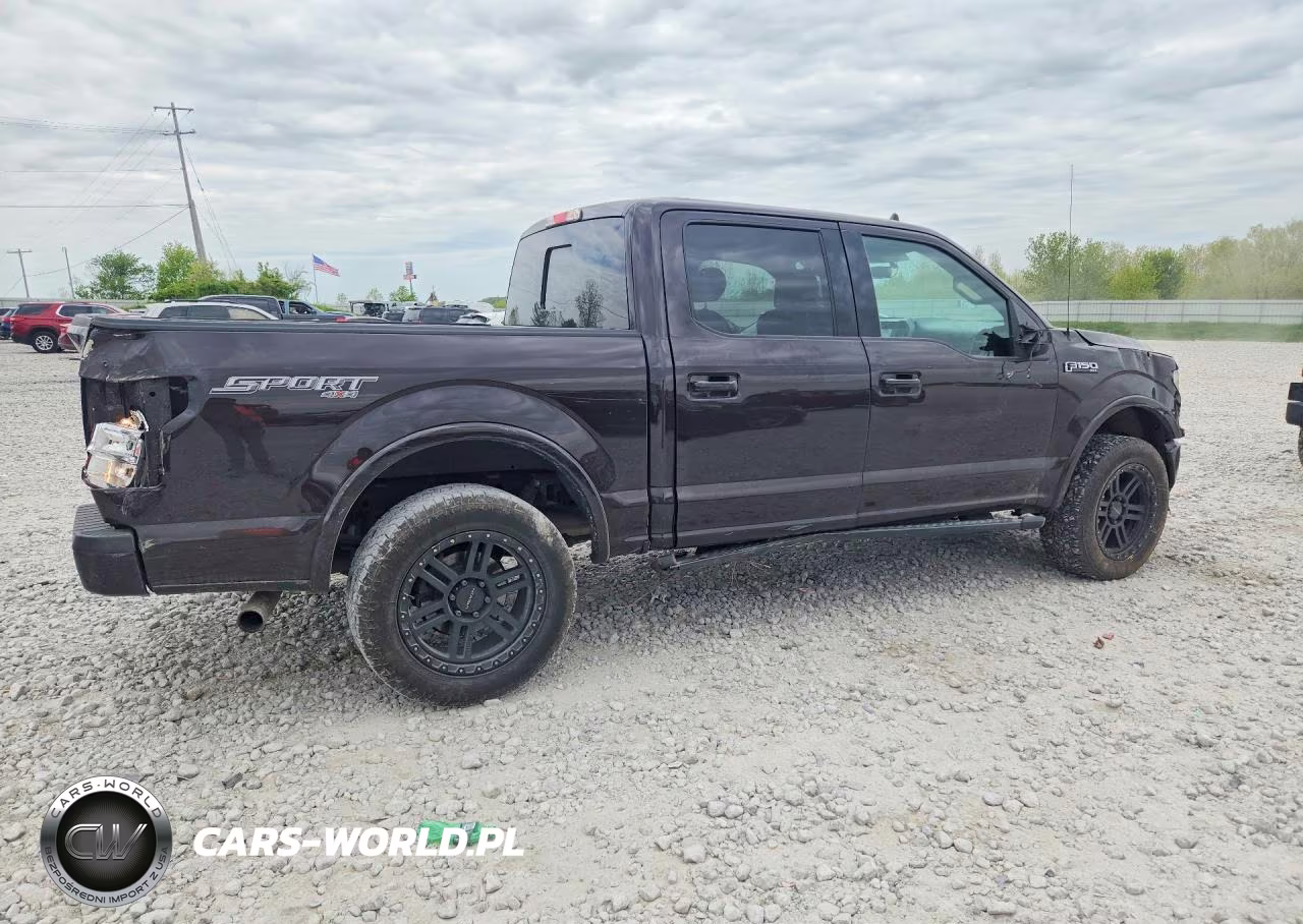 2019 Ford F150 Supercrew VIN:1FTEW1EP4KFD32166 - 3
