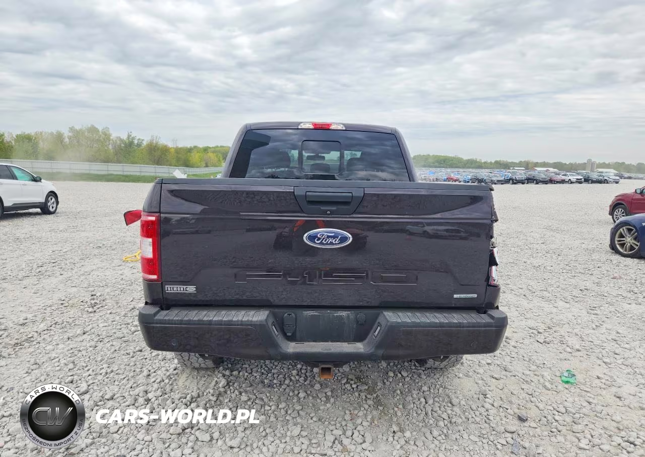 2019 Ford F150 Supercrew VIN:1FTEW1EP4KFD32166 - 6