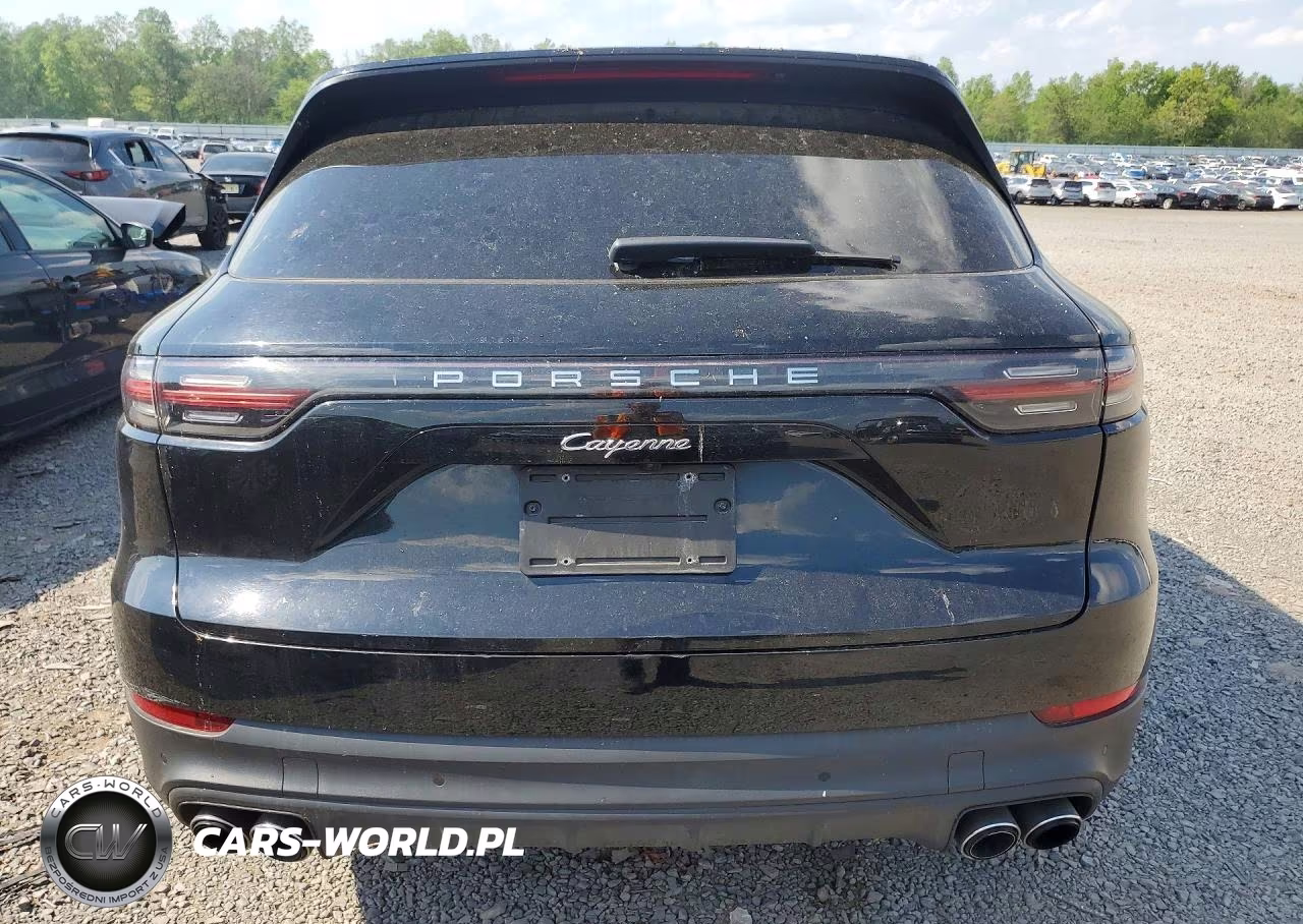 2020 Porsche Cayenne VIN:WP1AA2AY1LDA01154 - 6
