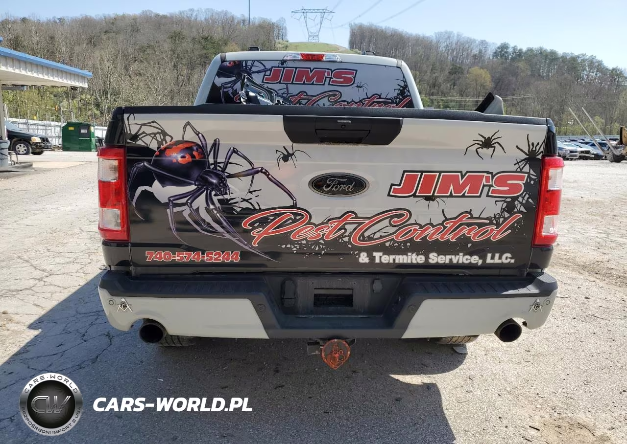 2023 Ford F150 Supercrew VIN:1FTEW1EP3PFD30383 - 6