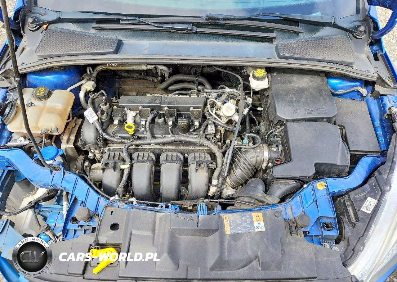 2018 Ford Focus Se VIN:1FADP3K25JL304783 - 11