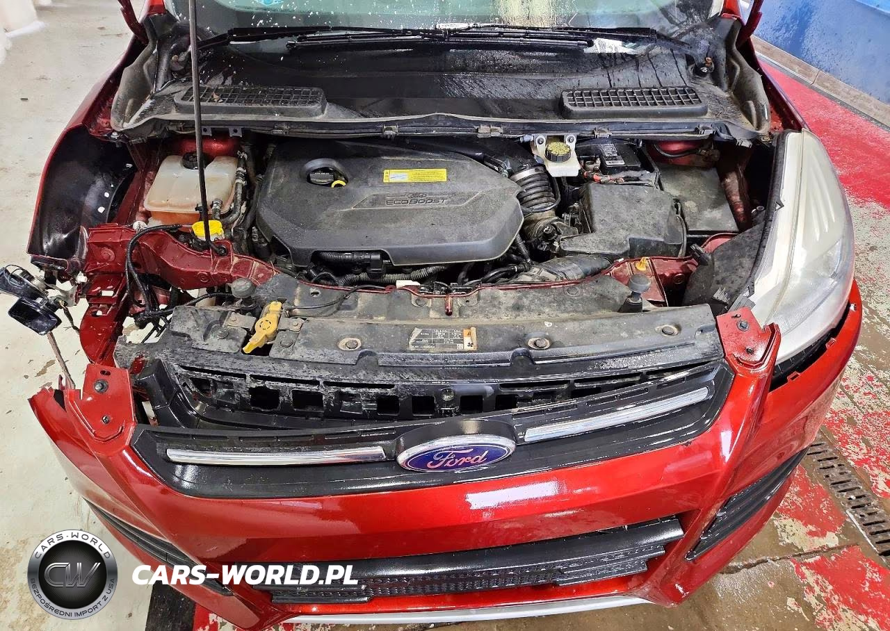 2014 Ford Escape Se VIN:1FMCU9GX7EUC66121 - 11