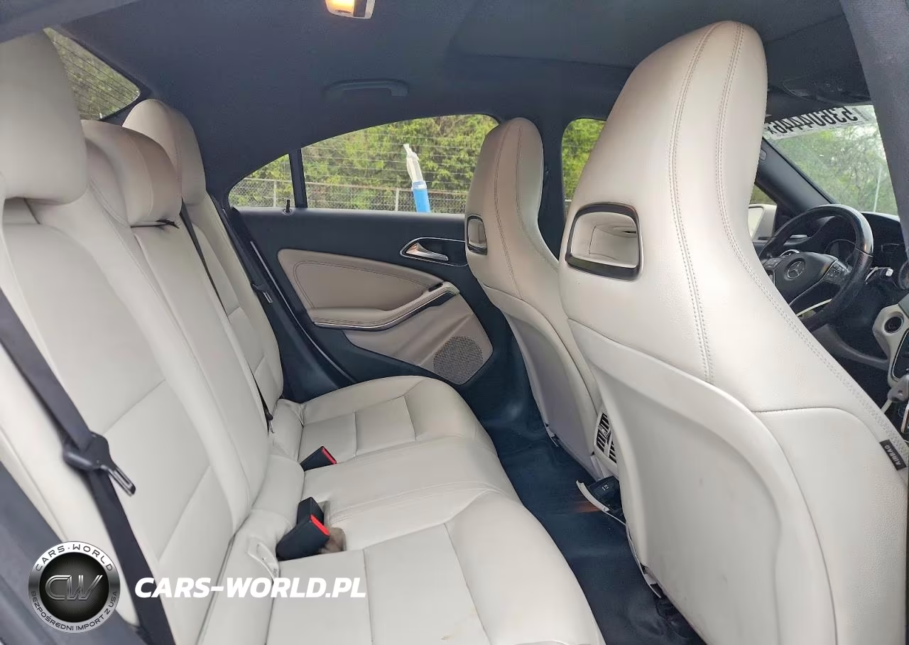 2014 Mercedes-Benz Cla 250 VIN:WDDSJ4EB3EN031573 - 10
