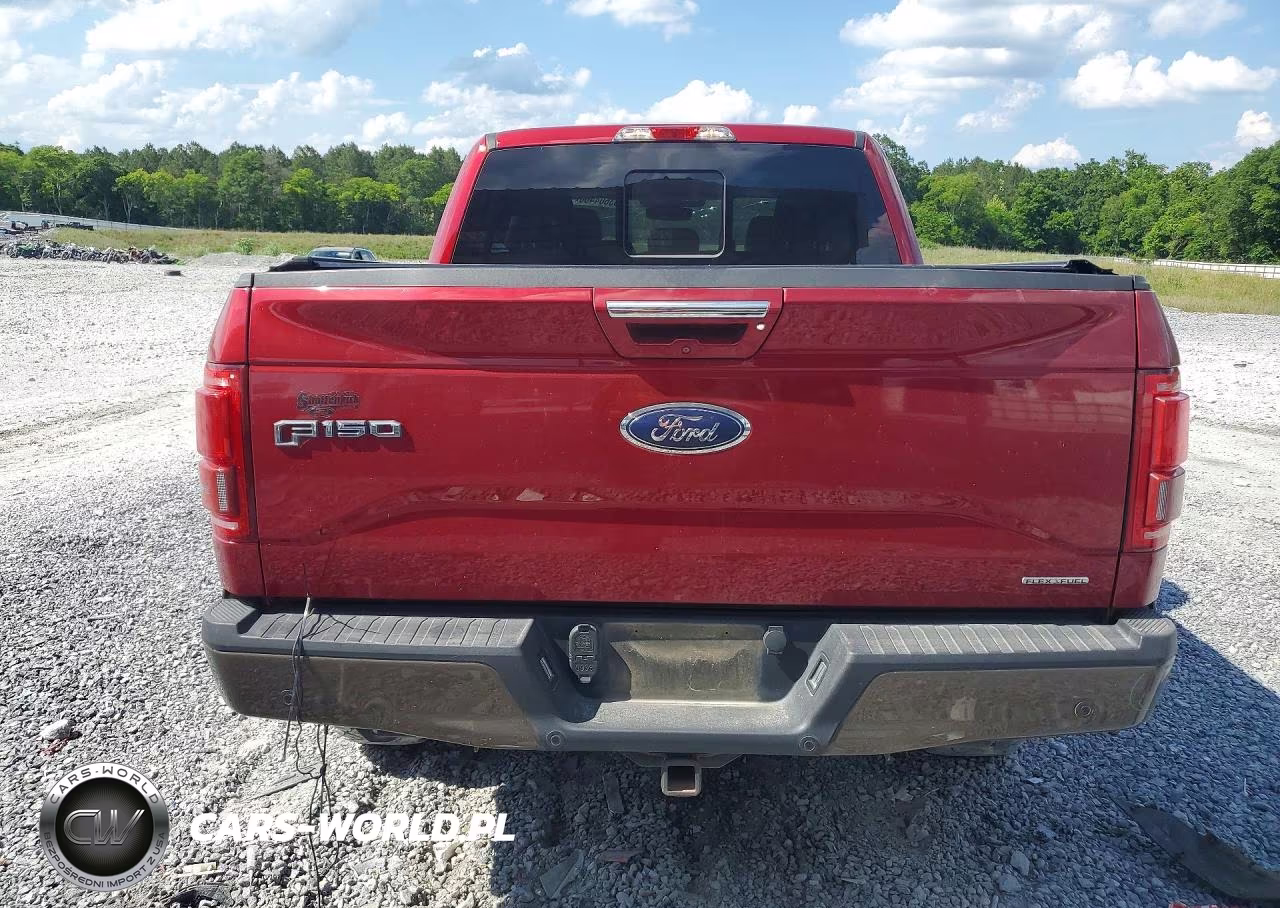 2015 Ford F150 Supercrew VIN:1FTEW1EF1FKD46465 - 6
