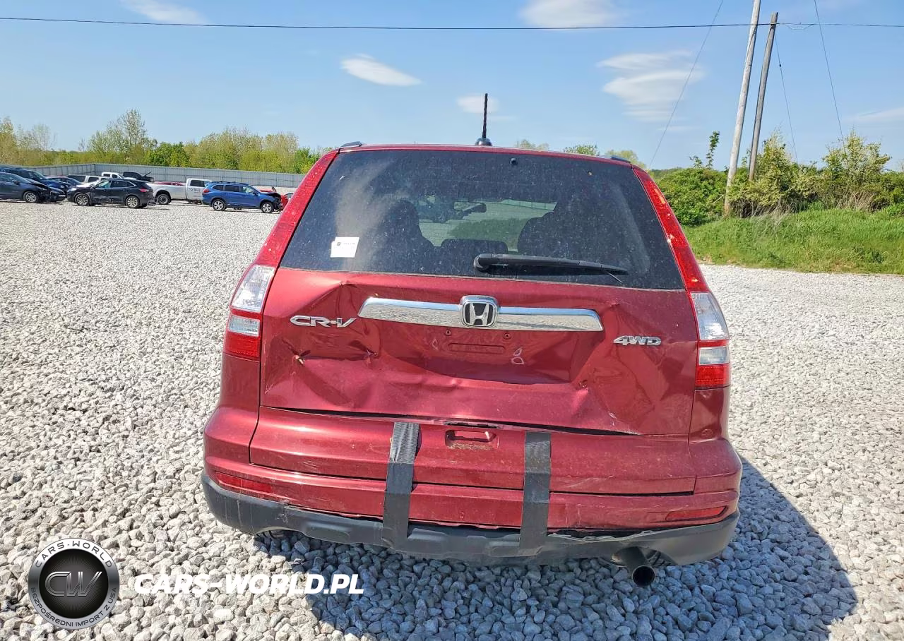 2011 Honda Cr-V Exl VIN:5J6RE4H71BL057465 - 6