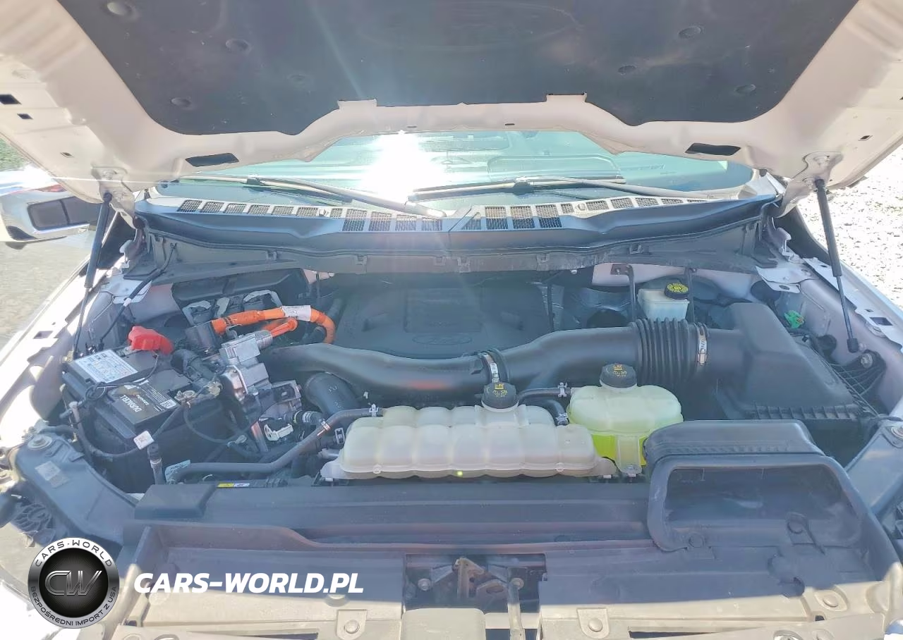2021 Ford F150 Supercrew VIN:1FTFW1ED9MFA76328 - 11