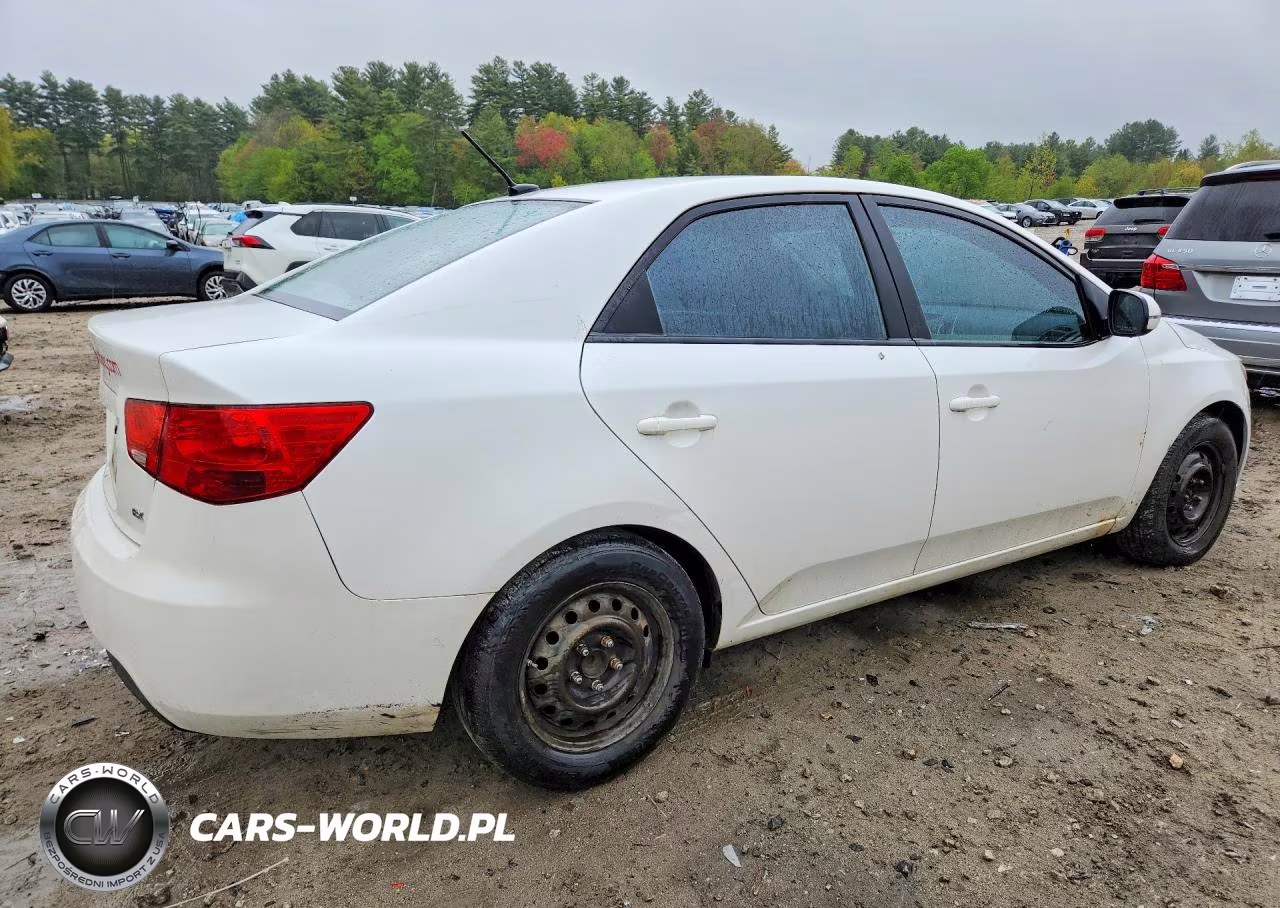 2012 Kia Forte Ex VIN:KNAFU4A21C5613352 - 3