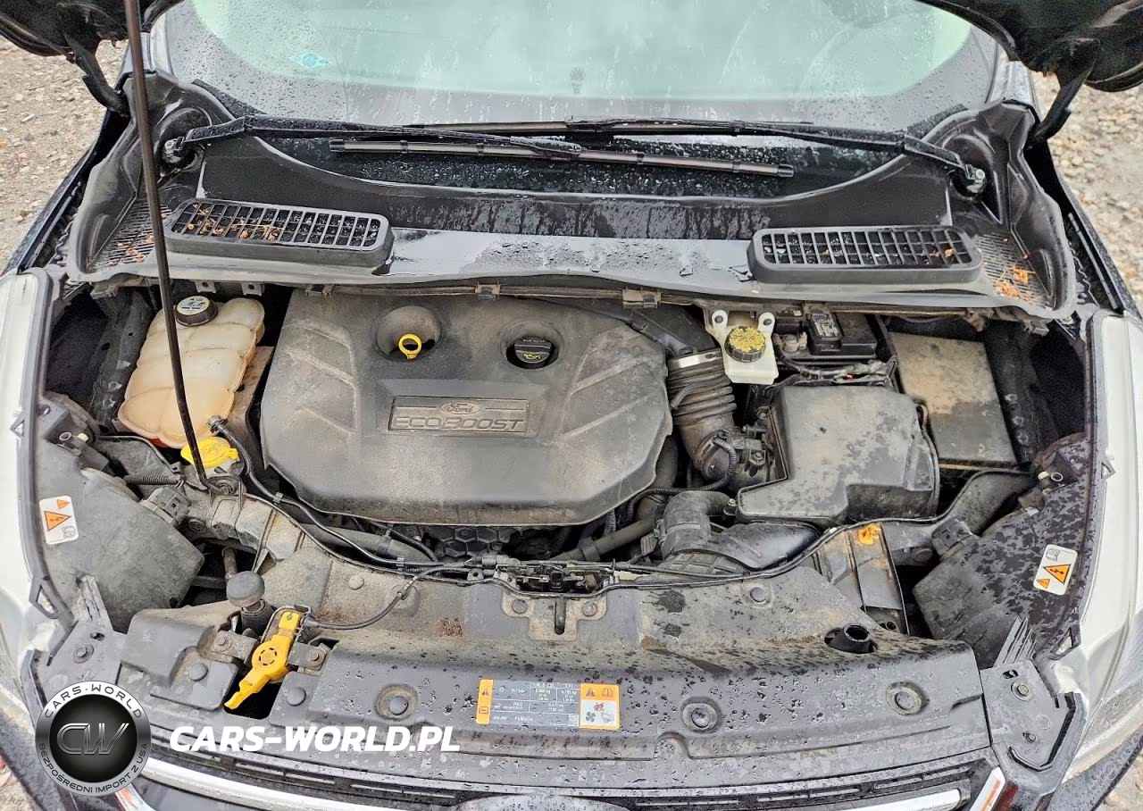 2013 Ford Escape Titanium VIN:1FMCU9J97DUD50156 - 12