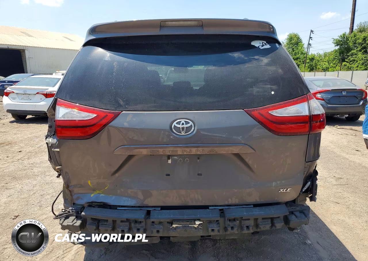 2017 Toyota Sienna Xle 8-Passenger VIN:5TDYZ3DC1HS820238 - 6