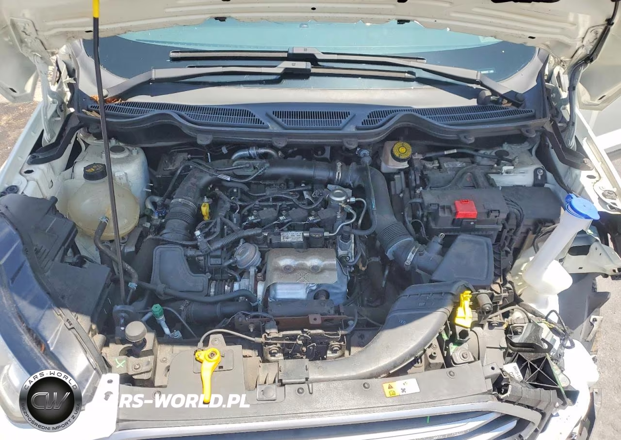 2021 Ford Ecosport Se VIN:MAJ3S2GE3MC443516 - 11