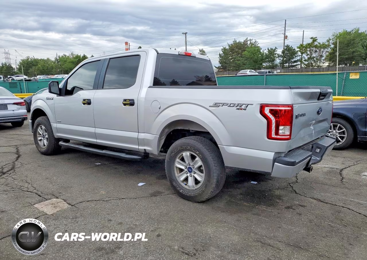 2016 Ford F150 Supercrew VIN:1FTEW1EP6GKE94881 - 2