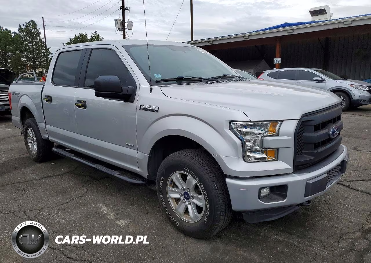 2016 Ford F150 Supercrew VIN:1FTEW1EP6GKE94881 - 4