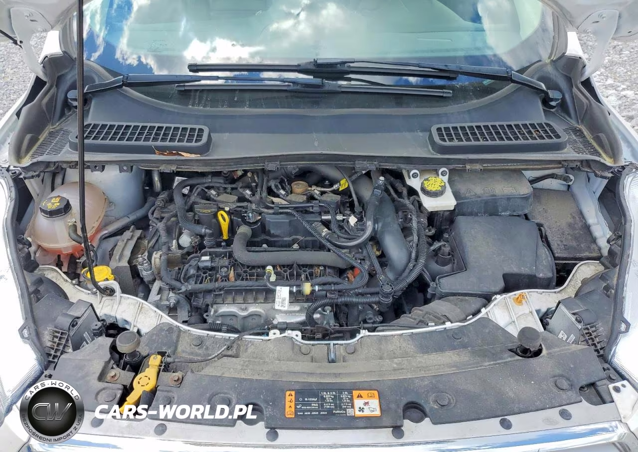 2019 Ford Escape Sel VIN:1FMCU9HD2KUB55606 - 12