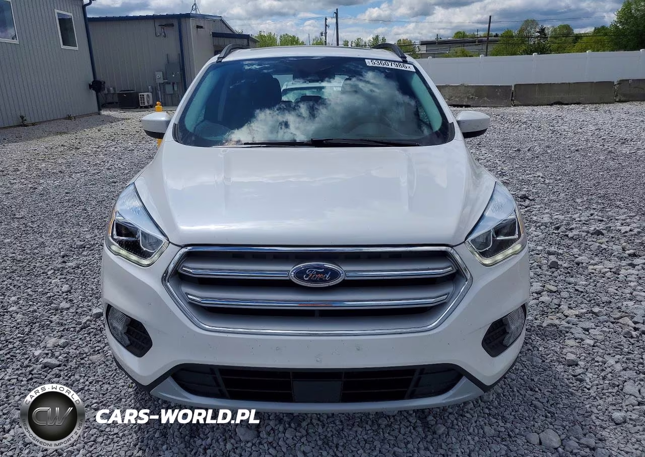 2019 Ford Escape Sel VIN:1FMCU9HD2KUB55606 - 5