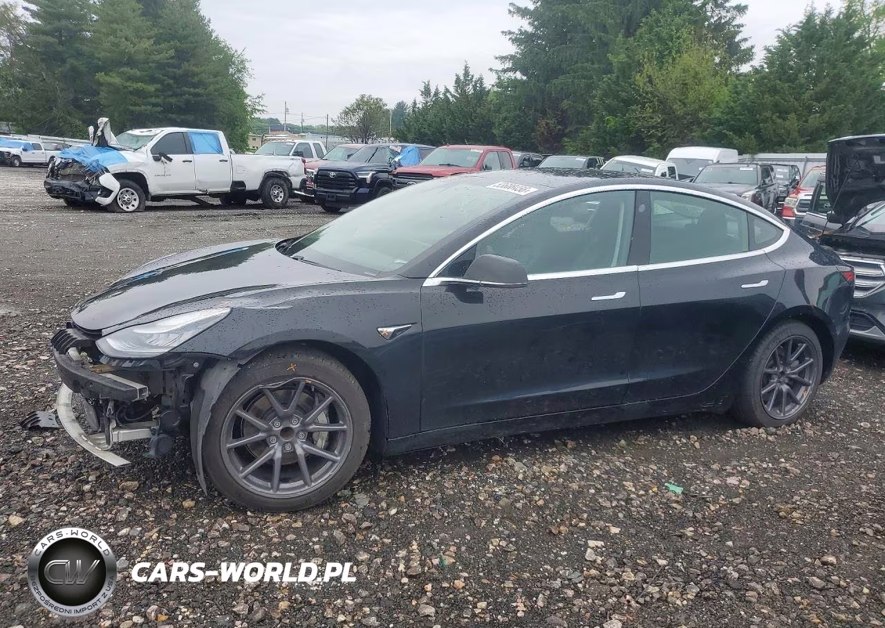 2019 Tesla Model 3
