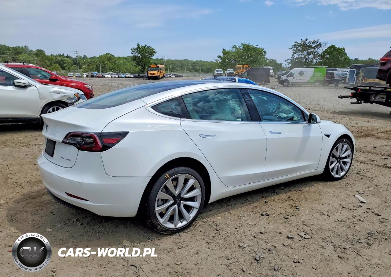 2020 Tesla Model 3 VIN:5YJ3E1EB8LF601242 - 3