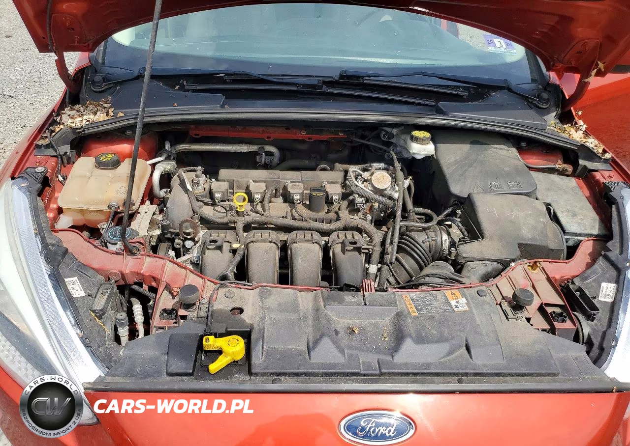 2018 Ford Focus Se VIN:1FADP3F24JL324727 - 11