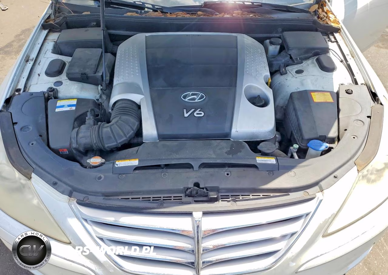 2011 Hyundai Genesis 3.8L VIN:KMHGC4DE7BU122896 - 11