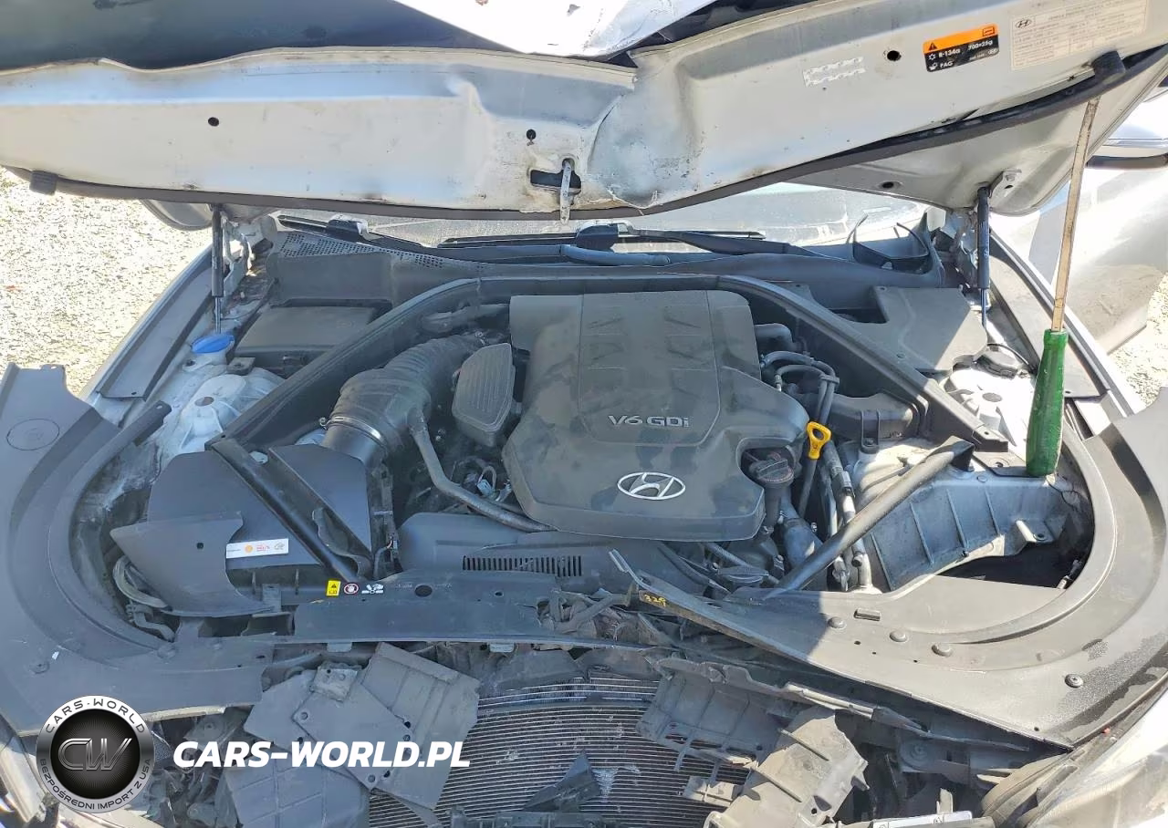 2015 Hyundai Genesis 3.8L VIN:KMHGN4JE1FU068063 - 12
