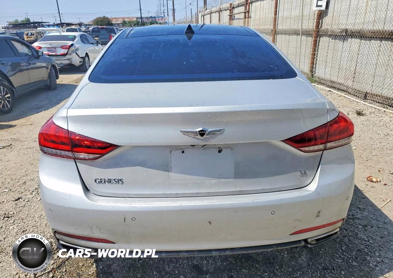 2015 Hyundai Genesis 3.8L VIN:KMHGN4JE1FU068063 - 7