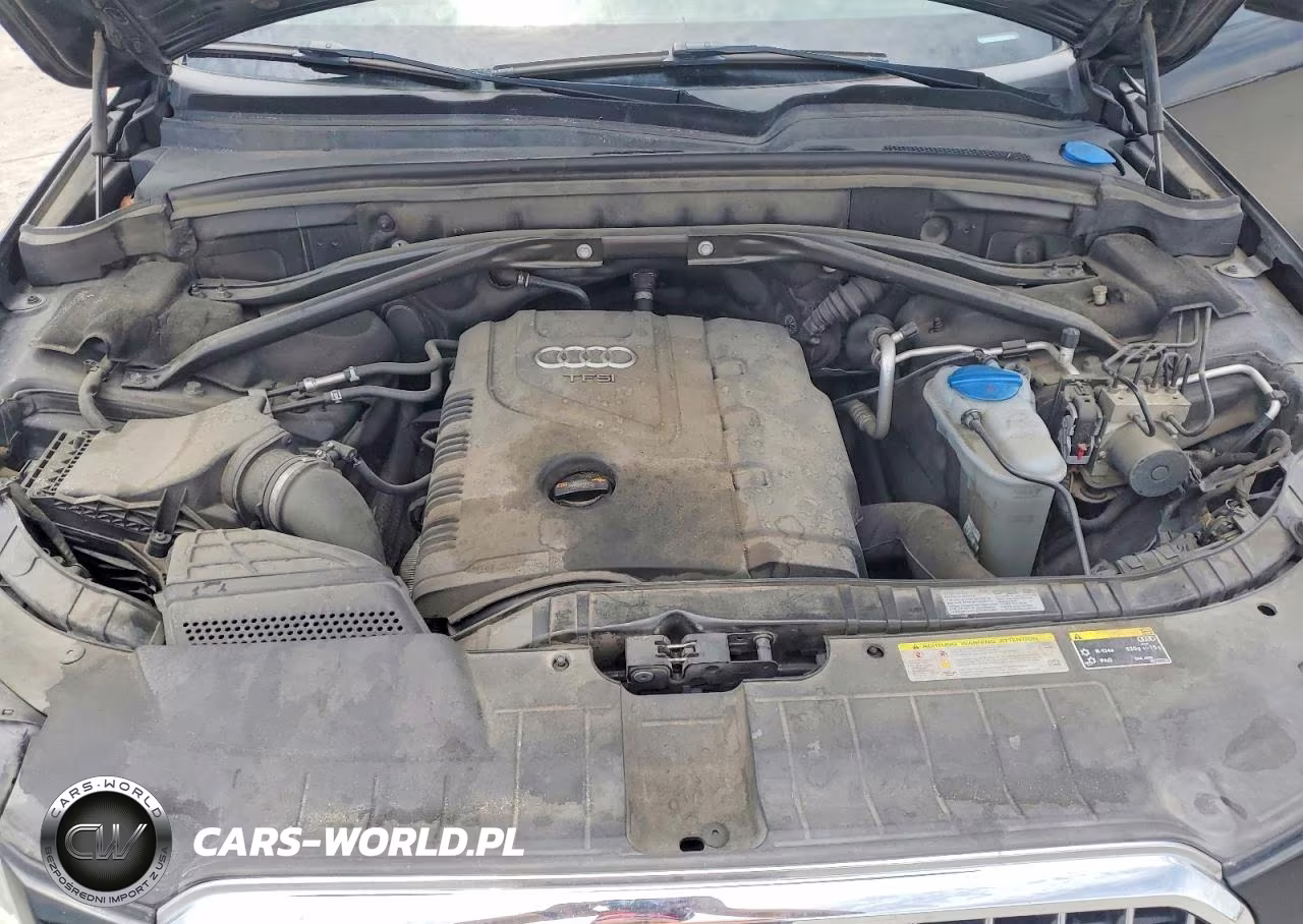 2013 Audi Q5 Premium Plus VIN:WA1LFAFP6DA011486 - 12