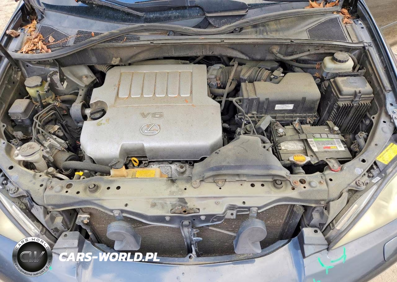 2007 Lexus Rx 350 VIN:JTJHK31U172023962 - 12