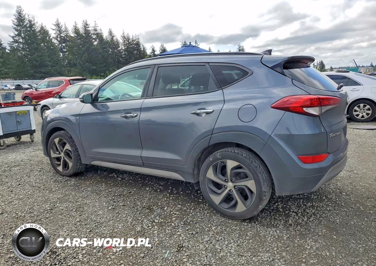 2017 Hyundai Tucson Limited VIN:KM8J3CA22HU366491 - 2