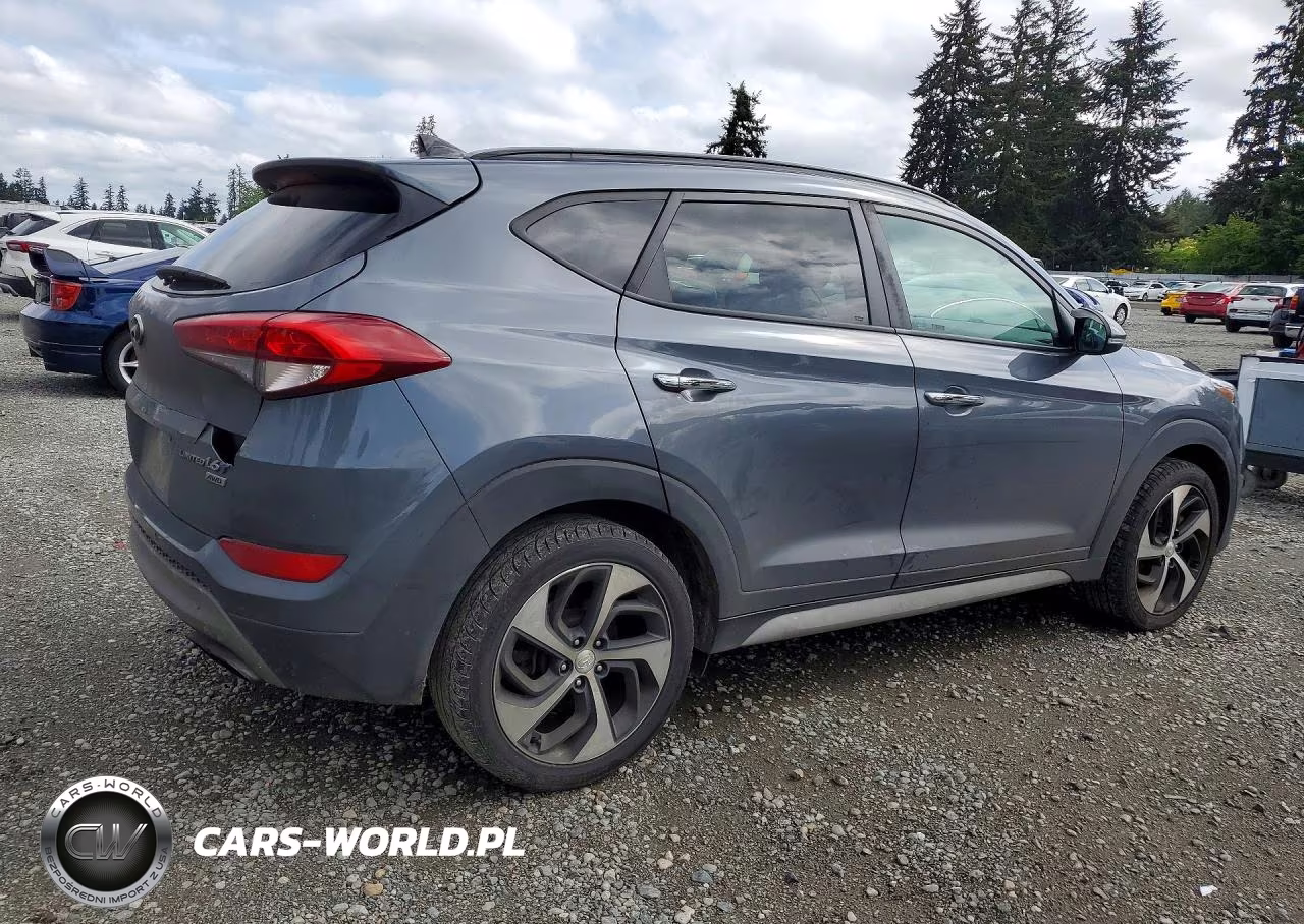 2017 Hyundai Tucson Limited VIN:KM8J3CA22HU366491 - 3