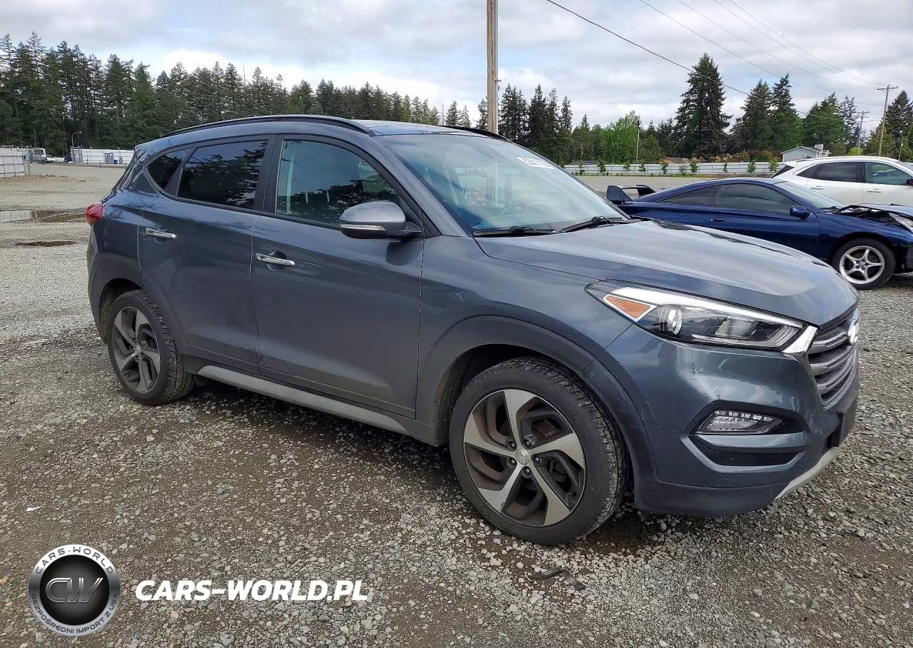 2017 Hyundai Tucson Limited VIN:KM8J3CA22HU366491 - 4