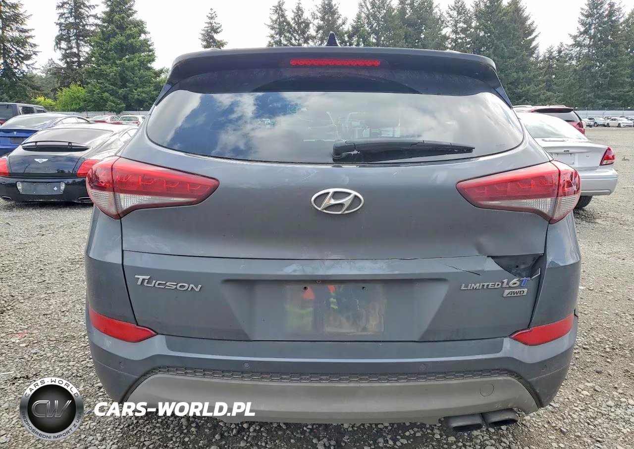 2017 Hyundai Tucson Limited VIN:KM8J3CA22HU366491 - 6