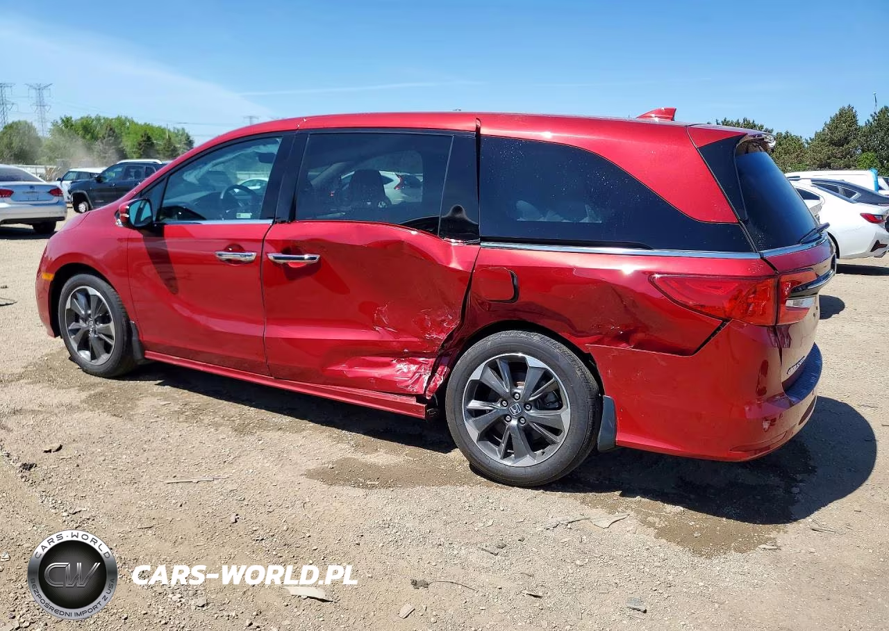 2024 Honda Odyssey Elite VIN:5FNRL6H9XRB003779 - 2
