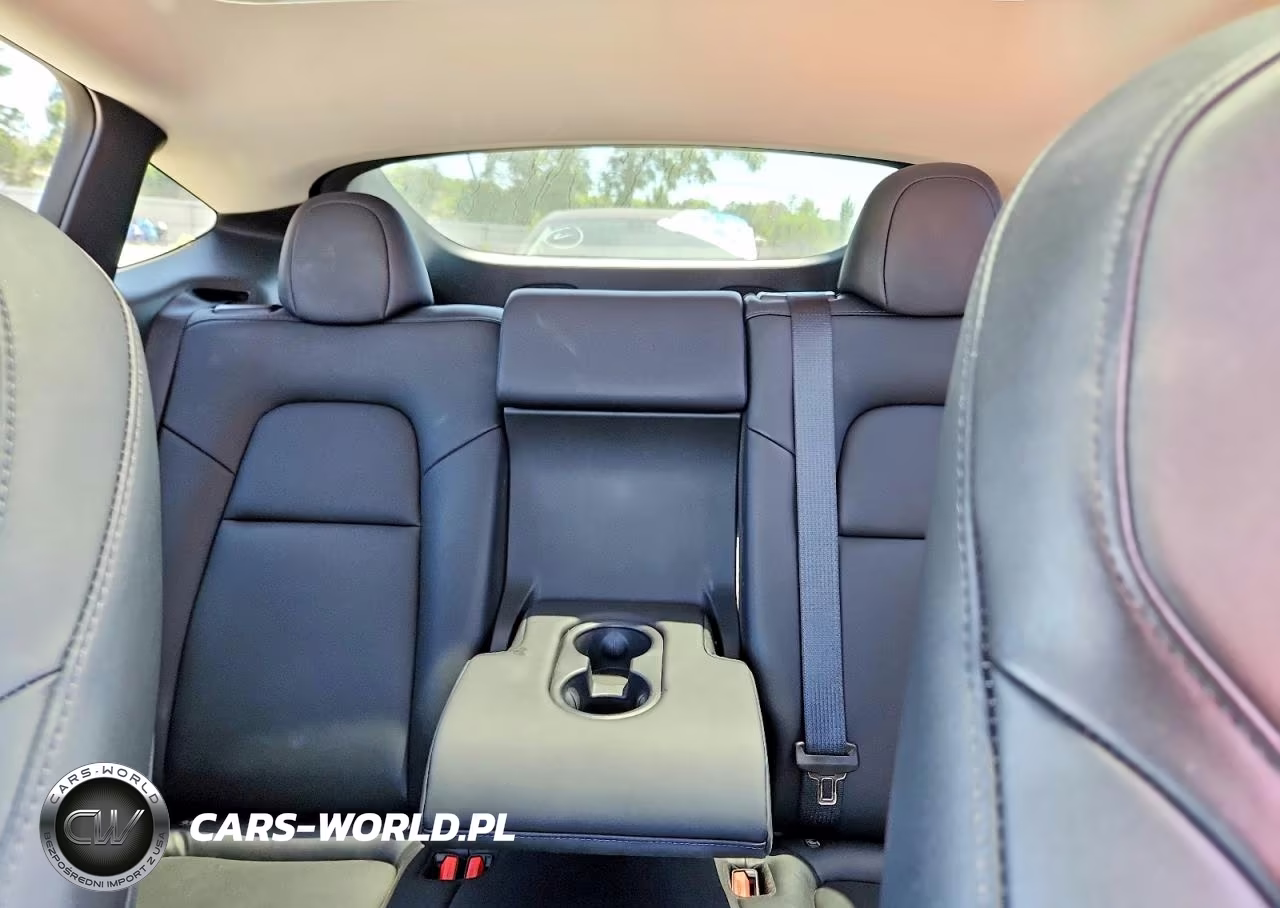 2023 Tesla Model Y VIN:7SAYGDEE0PA142371 - 10